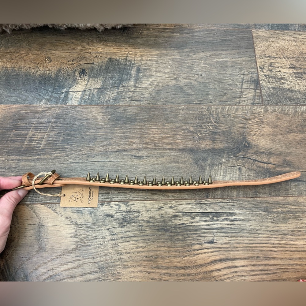 Fashionable leather spike collar